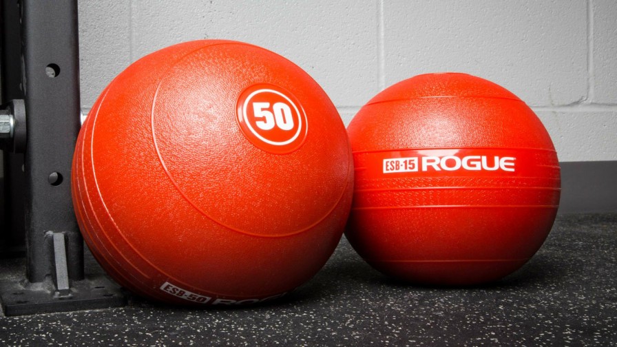 Conditioning * | Rogue Fitness Rogue Echo Slam Balls