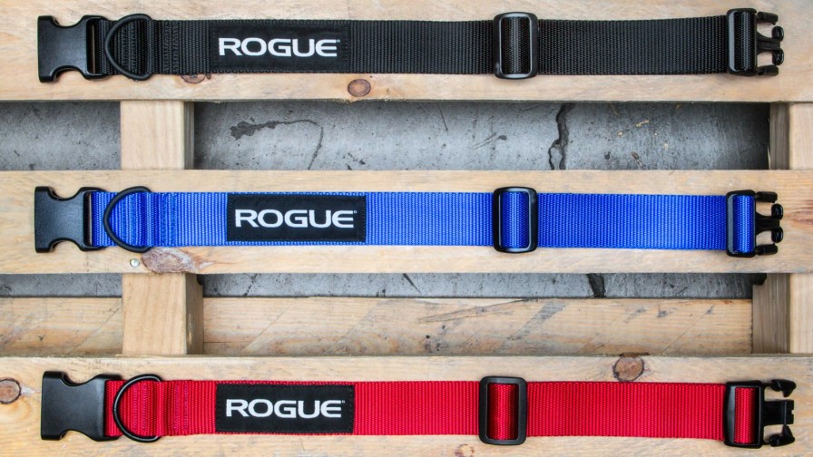 Rogue Gear & Accessories * | Rogue Fitness Rogue Nylon Dog Collar