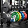 Rogue Rigs & Racks * | Rogue Fitness Monster Lite Single Post Storage Shelf