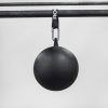 Bodyweight & Gymnastics * | Rogue Fitness Rogue 12 Pull-Up Globe