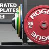 Weightlifting Bars & Plates * | Rogue Fitness Rogue Calibrated Kg Steel Plates