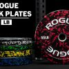 Weightlifting Bars & Plates * | Rogue Fitness Rogue Fleck Plate