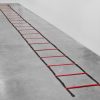 Conditioning * | Powermax 30 Agility Ladder