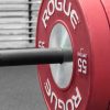 Rogue Rigs & Racks * | Rogue Fitness Monster Lite Plate Storage Channel Pair