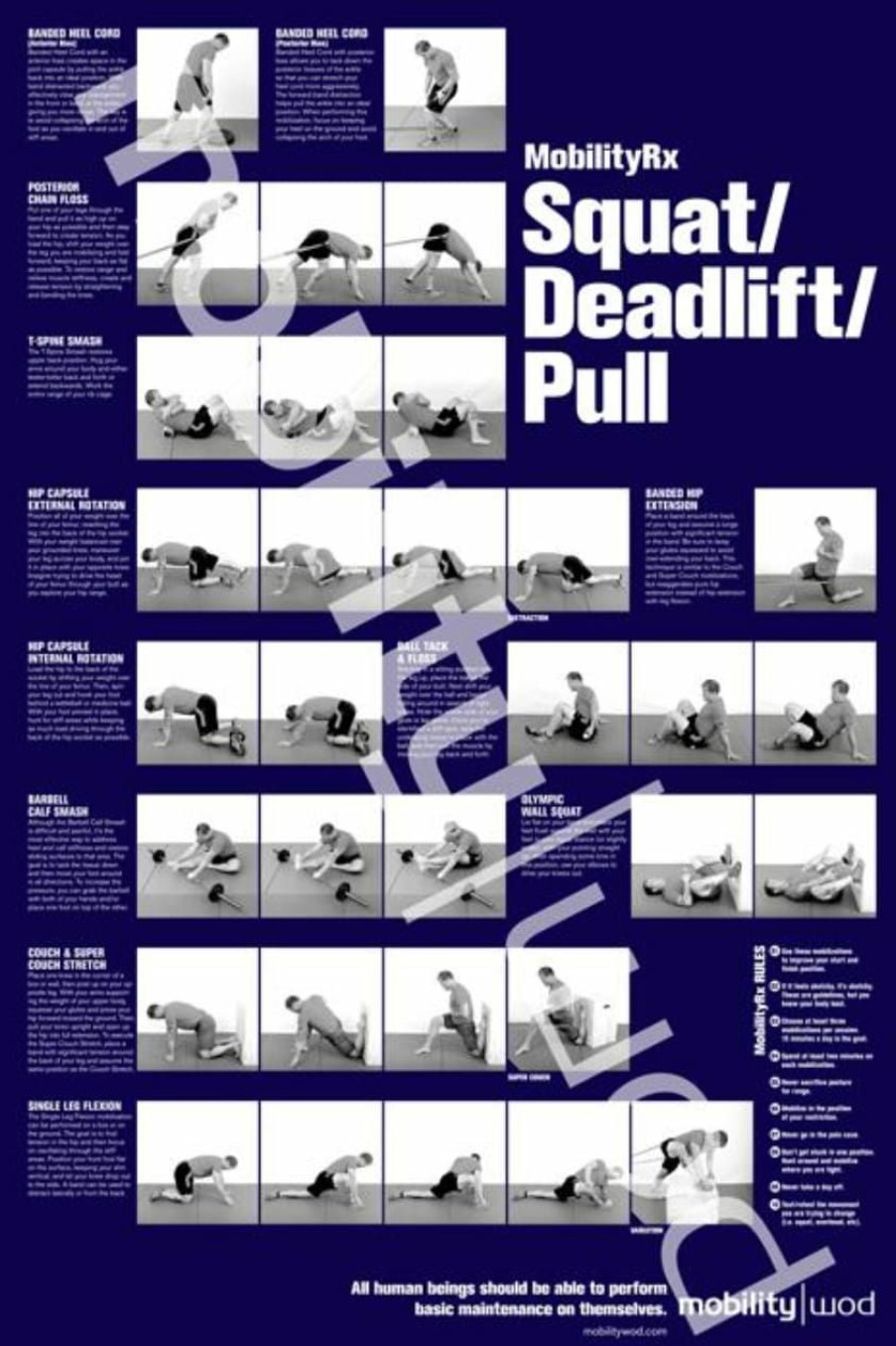 Rogue Gear & Accessories * | Mobilitywod Positioning Posters