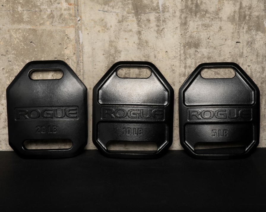 Bodyweight & Gymnastics * | Rogue Fitness Rogue Echo Weight Vest Plates