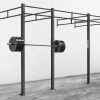 Rogue Rigs & Racks * | Rogue Fitness Monster Lite Wallmounts